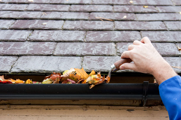 gutter cleaning service