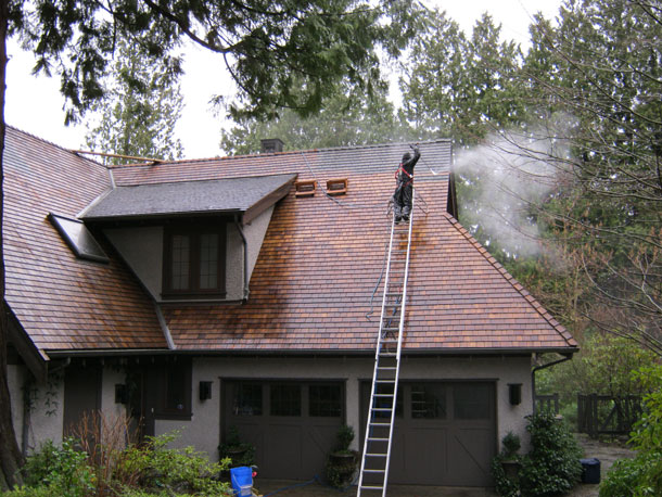 roof cleaning and moss removal